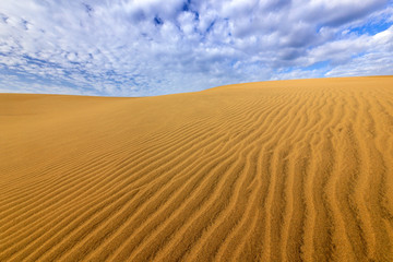 Fototapeta na wymiar Sand desert with beautiful rare blue sky with white clouds. Summer dry landscape in Africa. Sand waves in the wild nature. Dunas Maspalomas, Gran Canaria, Span. Yellow sand on the island.