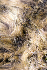 Brown artificial fur texture for background