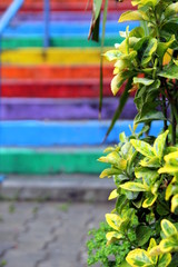 Istanbul, Turkey. The view on the rainbow stairs with the plant on the foreground.