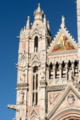 Fototapeta premium Detail of Siena Cathedral - Tuscany Italy