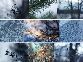 Collage of winter nature photos
