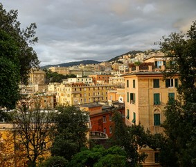 Blick über Genua