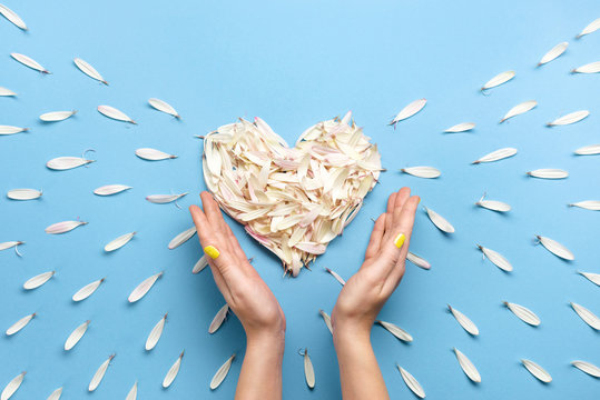 Beautiful heart handmade of flower petals top view on blue