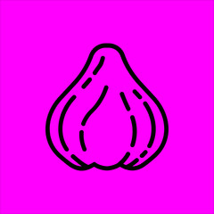 quince icon flat disign