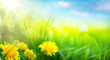 art abstract spring background or summer background with fresh g