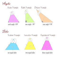 types of triangles based on angles and sides - geometry shapes for kids
