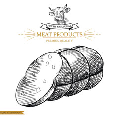 Sketch smoked boiled sausage on white background. Hand drawn meat elements Retro style poster with cow banner vector illustration. Use for butcher shop, livestock farm.