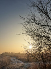 Magnifical morning dawn, naked trees and winter frozen landscape