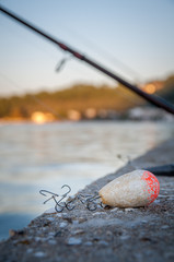 Fishing rod and hooks