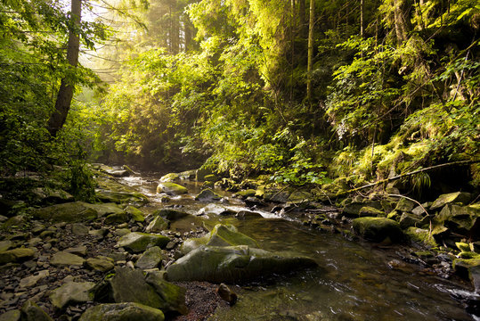 Fototapeta Mountain river, Ukraine