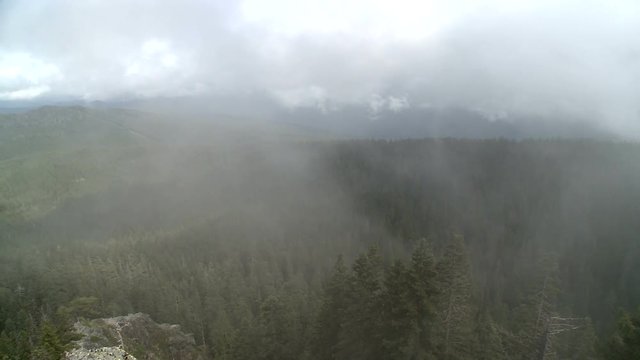 Foggy Mountain Top Forests