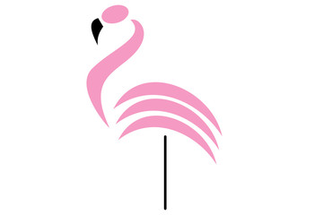 pink camargue in white background