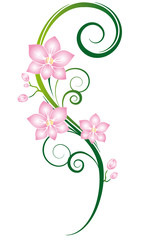 Beautiful orchids wall tattoo