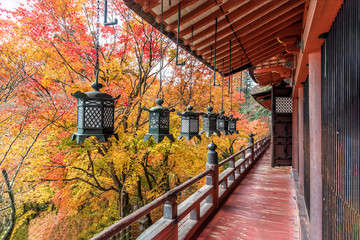 Tanzan Shrine in autumn, Nara Prefecture, Japan