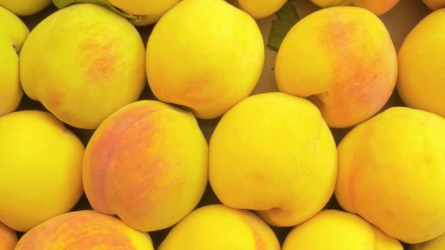 many yellow peaches exposed in a market