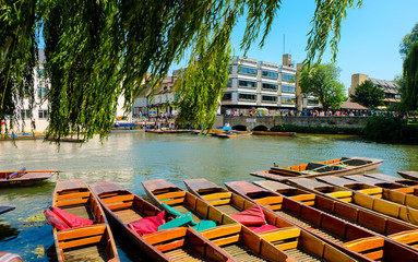 Cambridge punting boats on river, Cambridgeshire, England