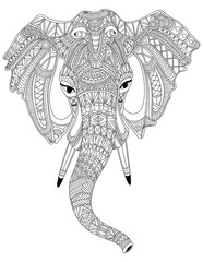 Elephant portrait vector graphic illustration - 134593304