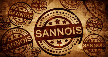 sannois, vintage stamp on paper background