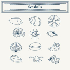 set of seashells in a linear style