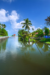 A garden with a river with green trees at the coast.