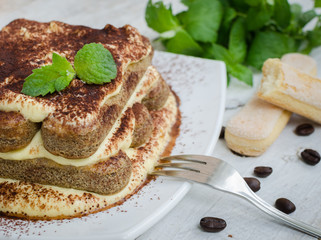 Tiramisu, traditional Italian dessert