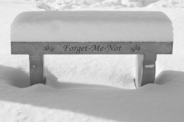 winter park bench covered in snow - Powered by Adobe
