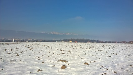 Fototapeta premium Landwirtschaftliche Flächen im Winter