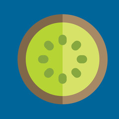 kiwi icon flat disign