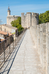 Obraz premium Aigues Mortes, France