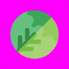 cabbage icon flat disign