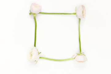 Soft minimal flatlay with pink ranunculos