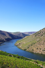 Fototapeta na wymiar landscape of Douro river, Portugal