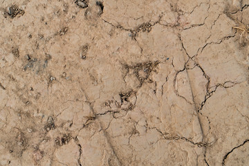 Cracked dry land