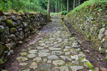 福井県勝山市の平泉寺の遺跡の石畳道