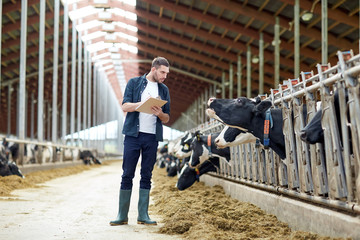 farmer with clipboard and cows in cowshed on farm