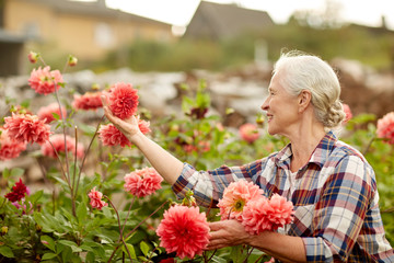 senior woman with flowers at summer garden
