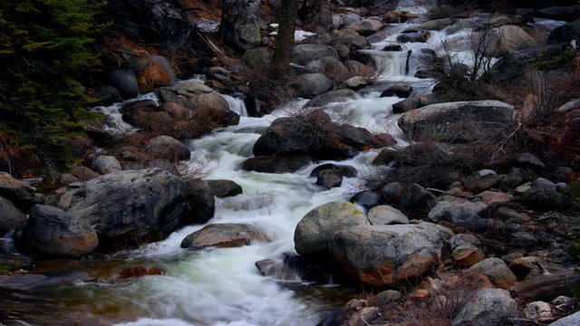 Sequoia National Park 4k 007