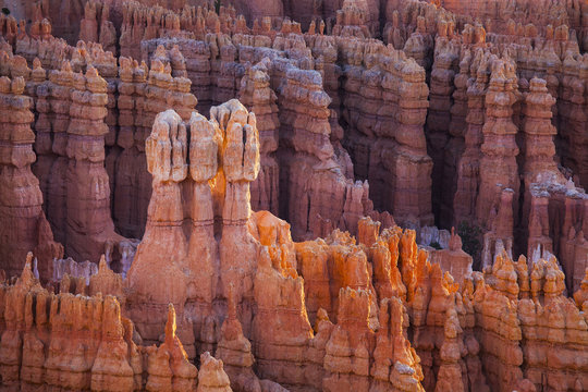 rocks sculpted by wind and rain in Bryce Canyon 