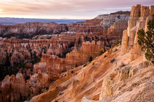 Orange hoodoos at Bryce Canyon at sunrise, Utah, USA
