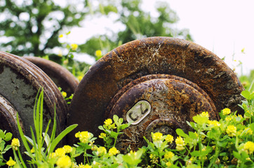 Weights and Flowers