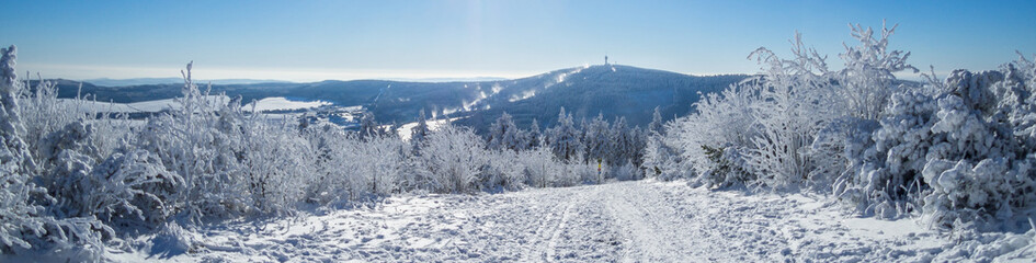 Fototapeta na wymiar winterliches Panorama