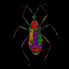 Insect Typography word cloud colorful Vector illustration