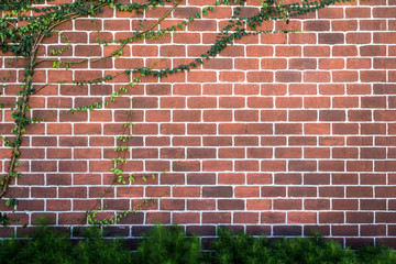 brick wall background with foliage