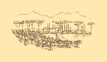 Vector hand drawn wine landscape.