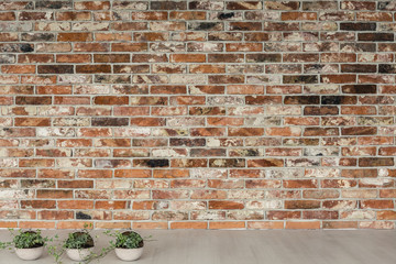 Small houseplants and brick wall