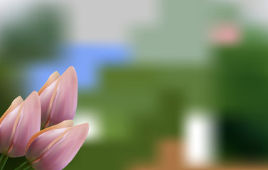 Delicate pink Tulip on green background