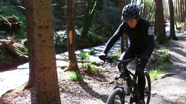 Mountain biker riding bicycle in forest