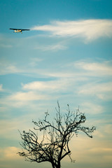 Flugzeug &uuml;ber sommerlicher Landschaft