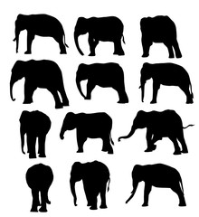 Elephants Silhouette Set