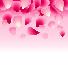 floral pink background decorated with rose petals